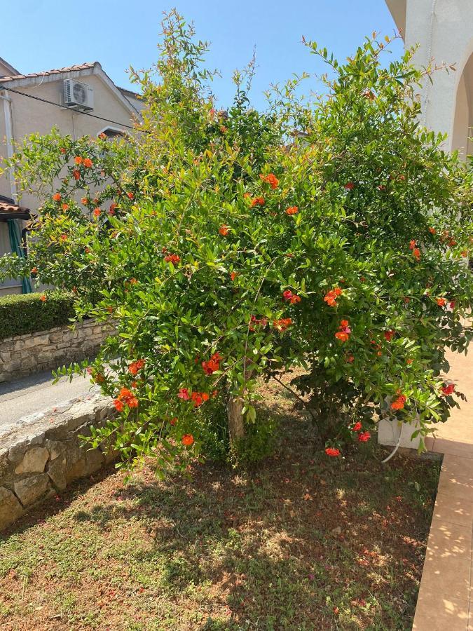 Apartmani Ana Borovac Фунтана Экстерьер фото